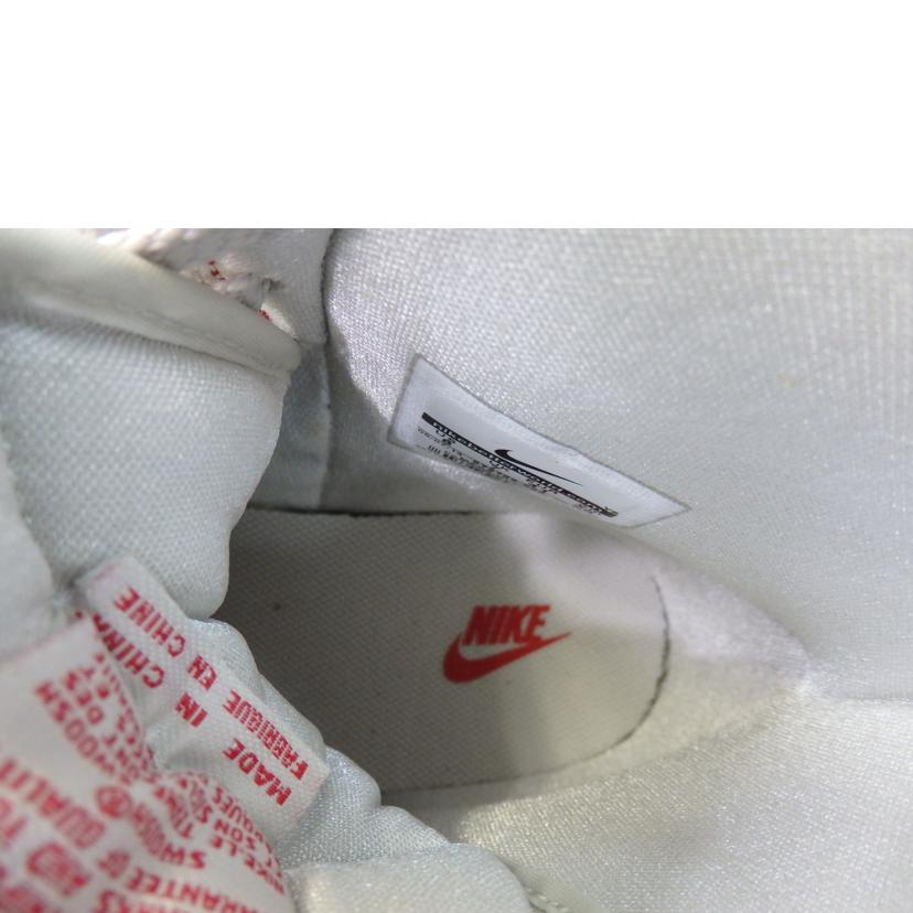 NIKE ナイキ/NIKE TERMINATOR HIGH BASIC/573789-066//Bランク/84