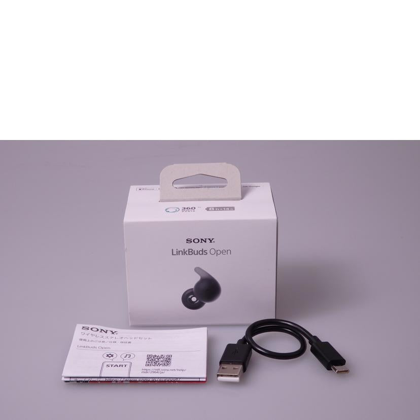 SONY ソニー/ワイヤレスイヤホン/WF-L910//2002761/Bランク/76