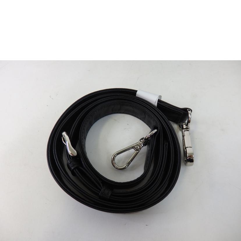 RODANIA ロダニア/RODANIA 2wayバッグ 黒/3002L//ABランク/84