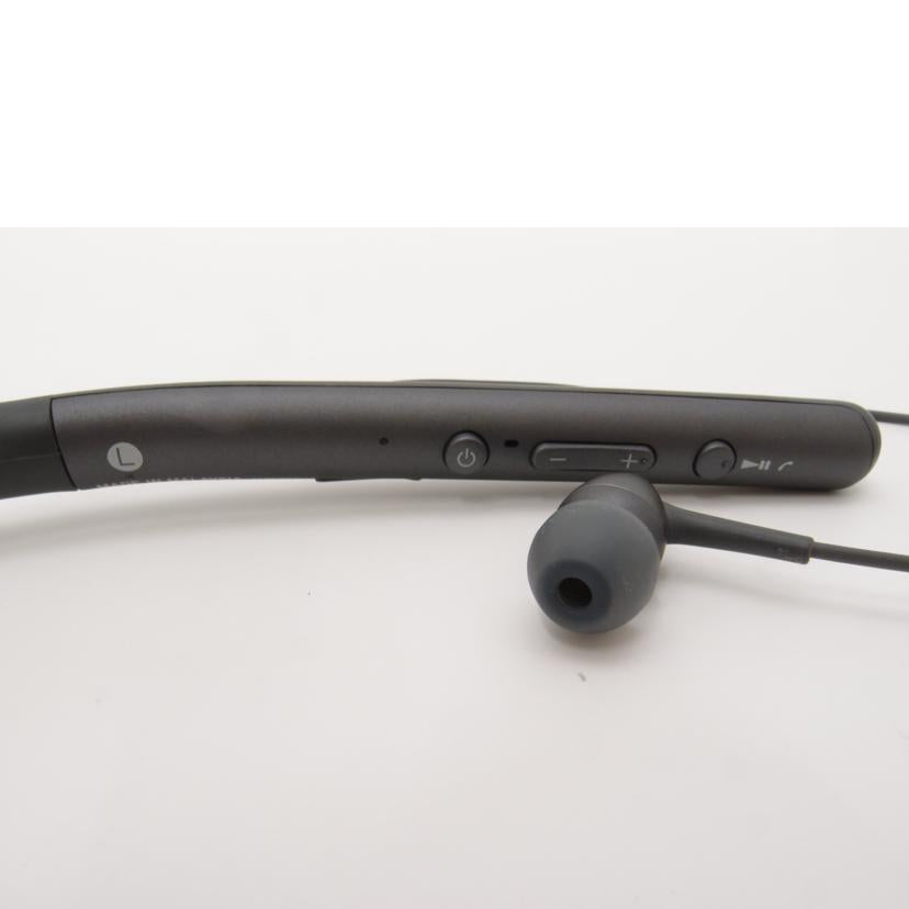 SONY ソニー/h.ear in 2 Wireless/イヤホン/WI-H700//5079752/Aランク/69