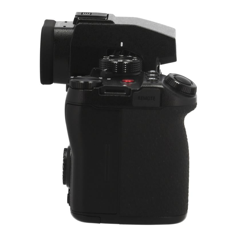 Panasonic パナソニック /ミラーレス一眼 ボディ/DC-S5M2/DC-S5M2 ボディ//WJ3BA001122/Aランク/18