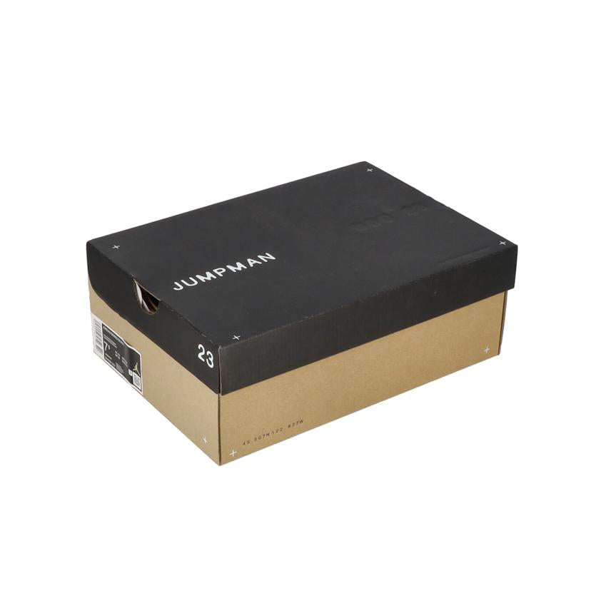 NIKE ナイキ/NIKE JORDAN SERIES SE RUI/DN1696-062//SAランク/78