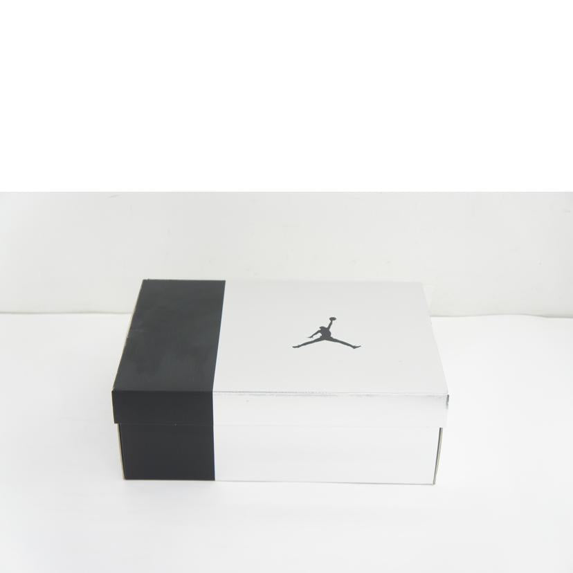 NIKE ナイキ/NIKE AIR JORDAN 6 RETRO/DX2836-001//Aランク/64