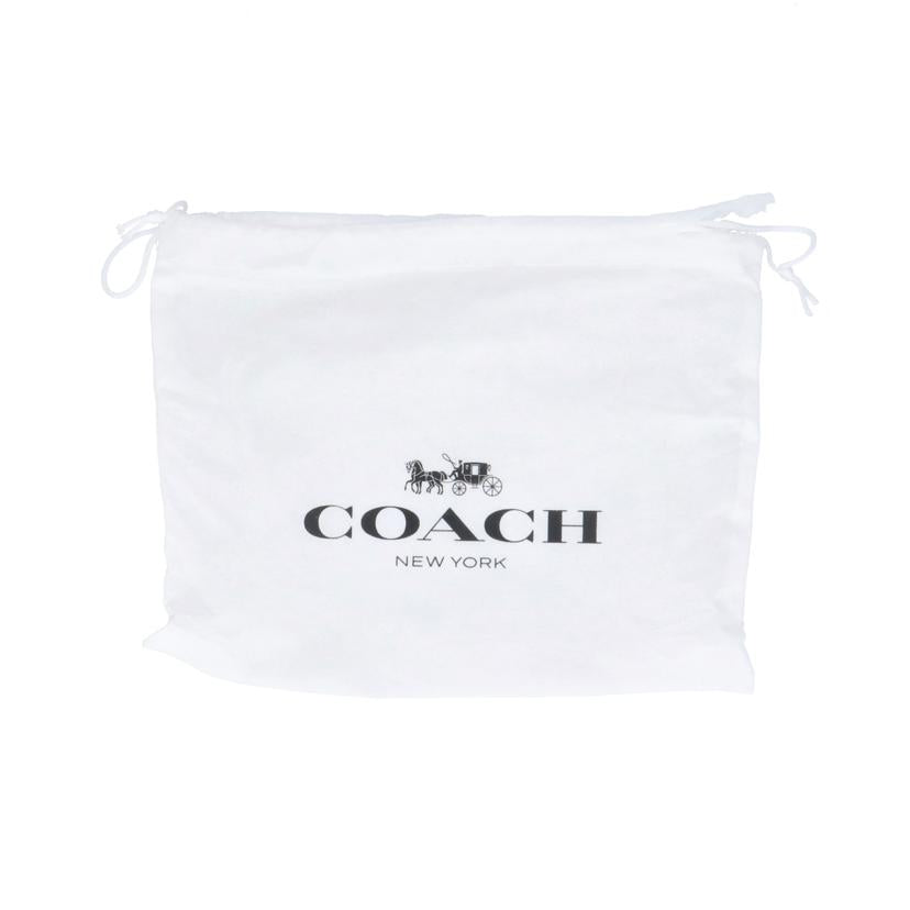COACH/ダブルジップオ-ガナイザー/F93509//M15**/Aランク/85