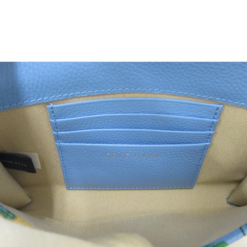 Cole Haan/チェーンショルダーバック/フルーツ/u06637//ABランク/63