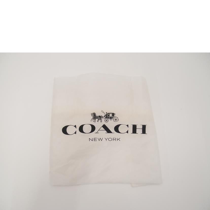 COACH/グラハムクロスボディショルダー/ブラウン/F39946//G19**/Aランク/69