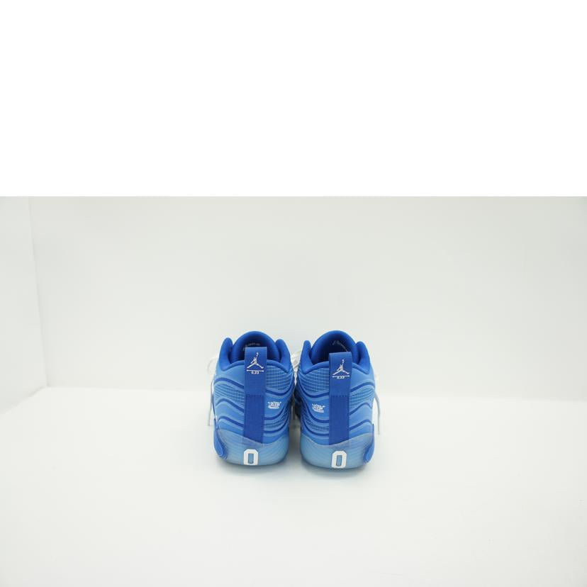 NIKE ナイキ/NIKE Air Jordan Tatum/HV6385-400//Aランク/19