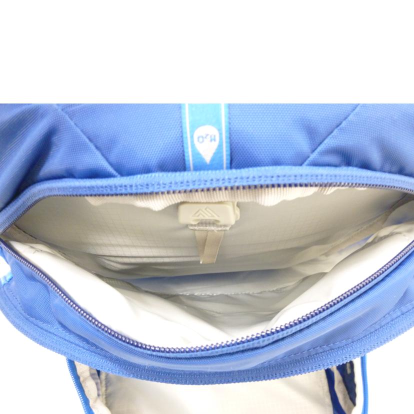 GREGORY グレゴリー/バックパック/9264880451548//ABランク/88