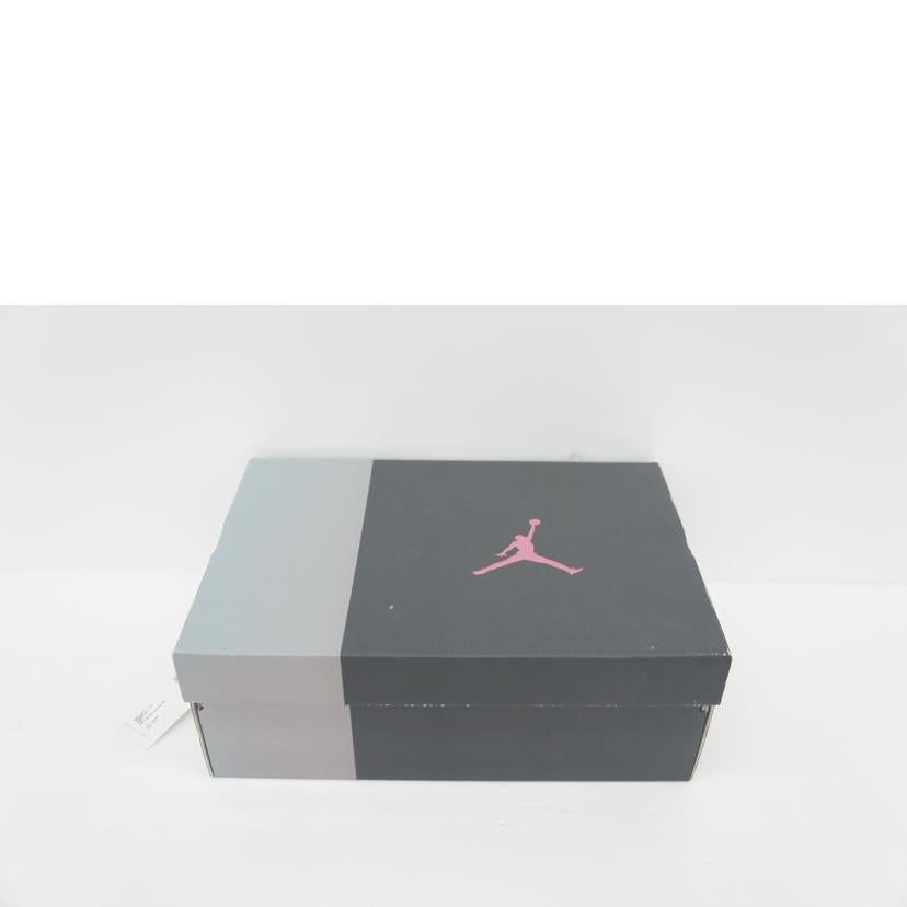 NIKE ナイキ/AIR JORDAN 3 RETORO SE/DR8869//200/Aランク/42