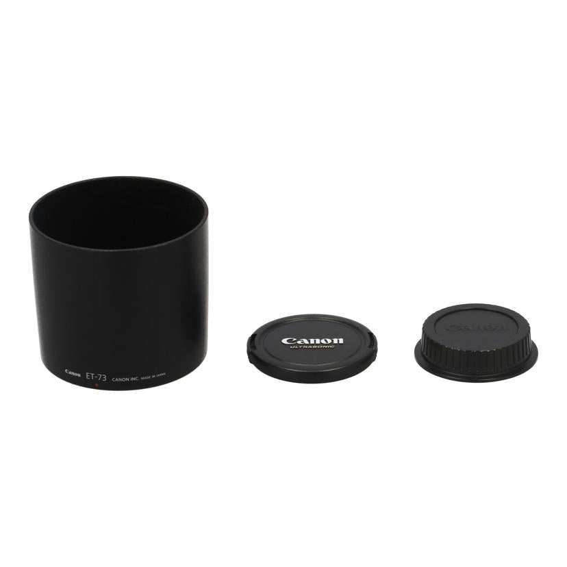 Canon キヤノン /交換レンズ/100mmL/EF100mm F2.8L macro IS USM//2019845/Bランク/89