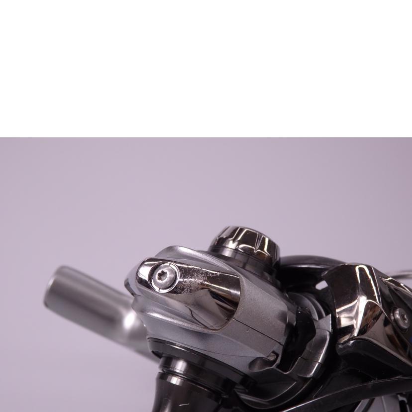 DAIWA ダイワ/CALDIA/LT1000S-P//Bランク/76