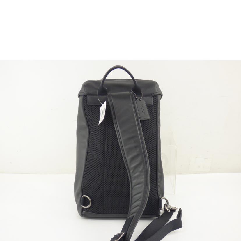 COACH コーチ/レザーボディバッグ/2943//B20**/Aランク/64