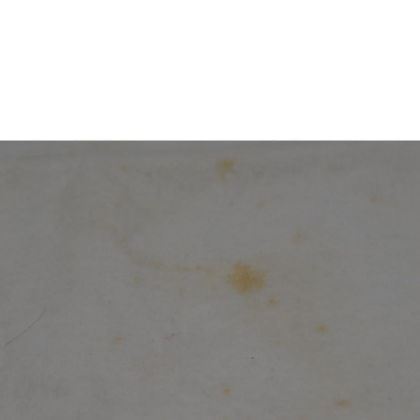 CHANEL シャネル/マトラッセラムスキンダイアナフラップチェーンショルダー/A01165//192****/ABランク/89