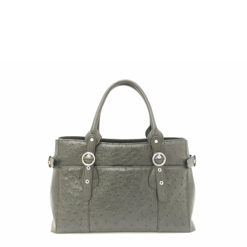 オーストリッチ /オーストリッチ ハンドバッグ//SAランク/69