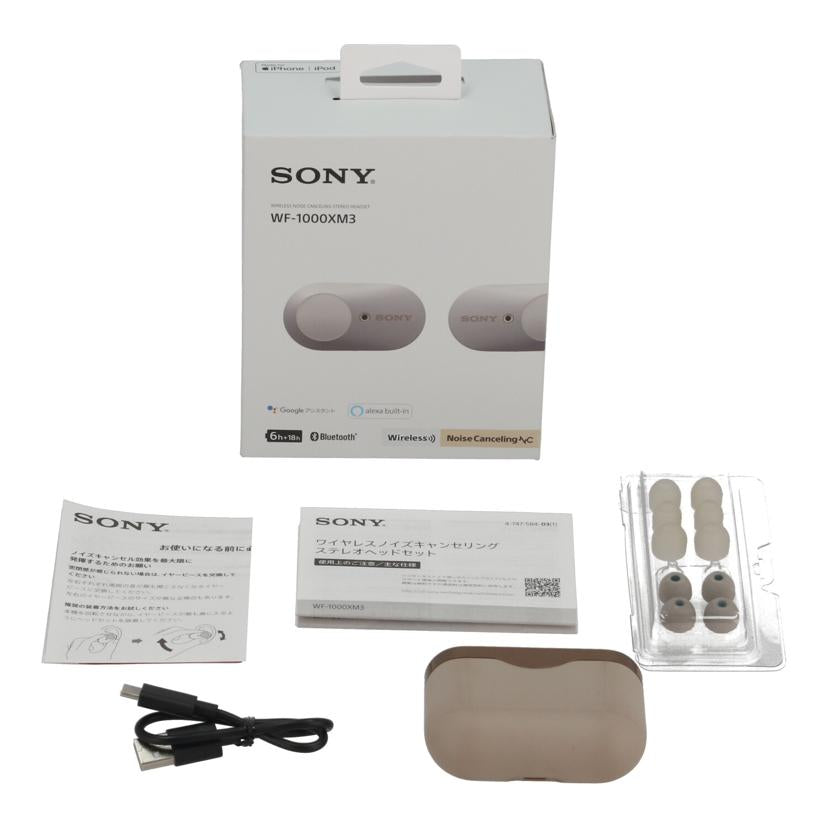 SONY ソニー/ワイヤレスイヤホン/WF-1000XM3SM//S012058073B/Bランク/82
