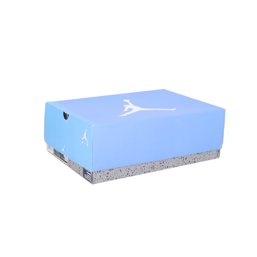 NIKE ナイキ/ AIRJORDAN6 RETRO/CT8529-410//SAランク/20