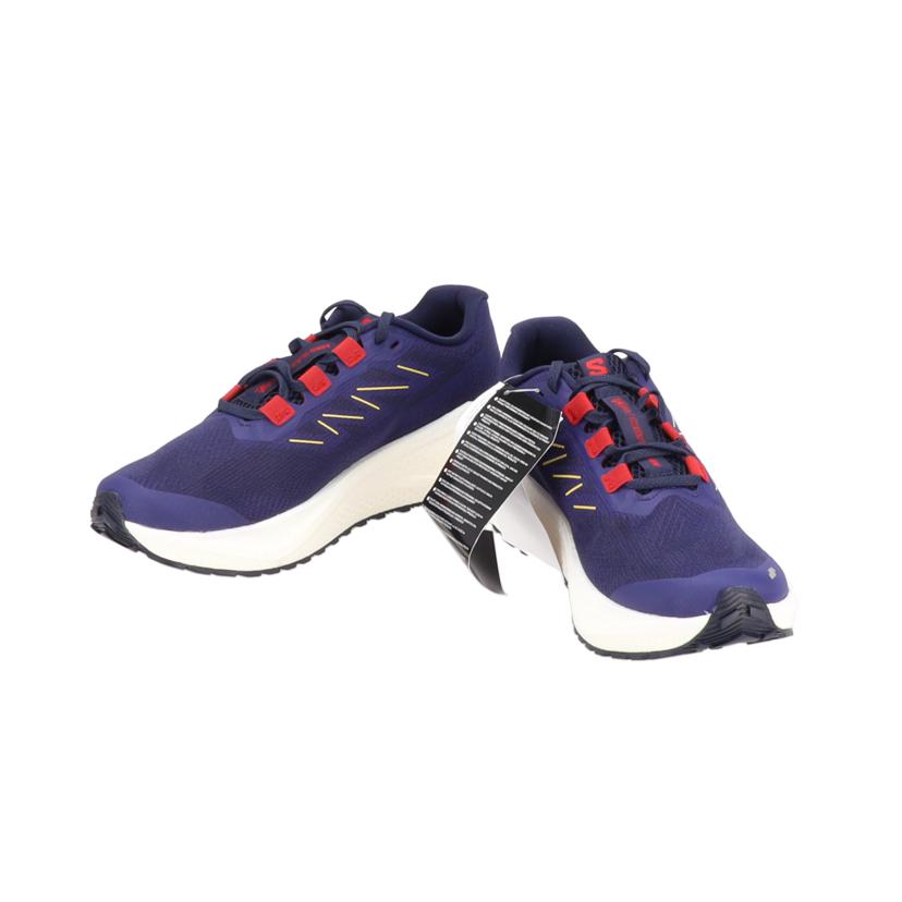 SALOMON サロモン/AERO BLAZE 3 GRVL/479154//SAランク/01