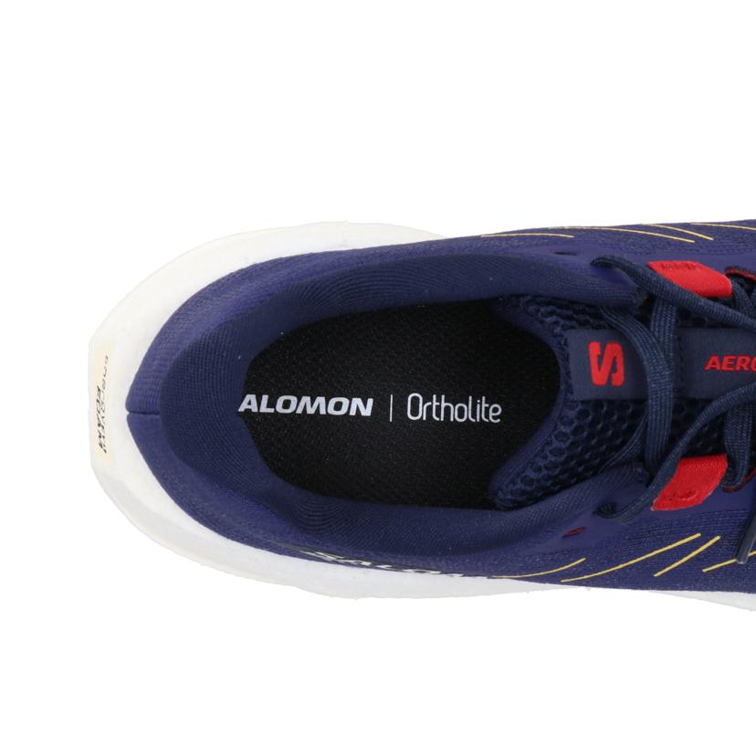 SALOMON サロモン/AERO BLAZE 3 GRVL/479154//SAランク/01