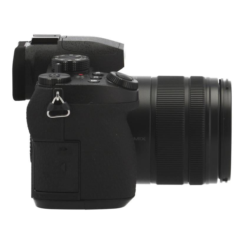 Panasonic パナソニック /ミラーレス一眼レンズキット/DC-G99DH//WE3KA001548/Aランク/19