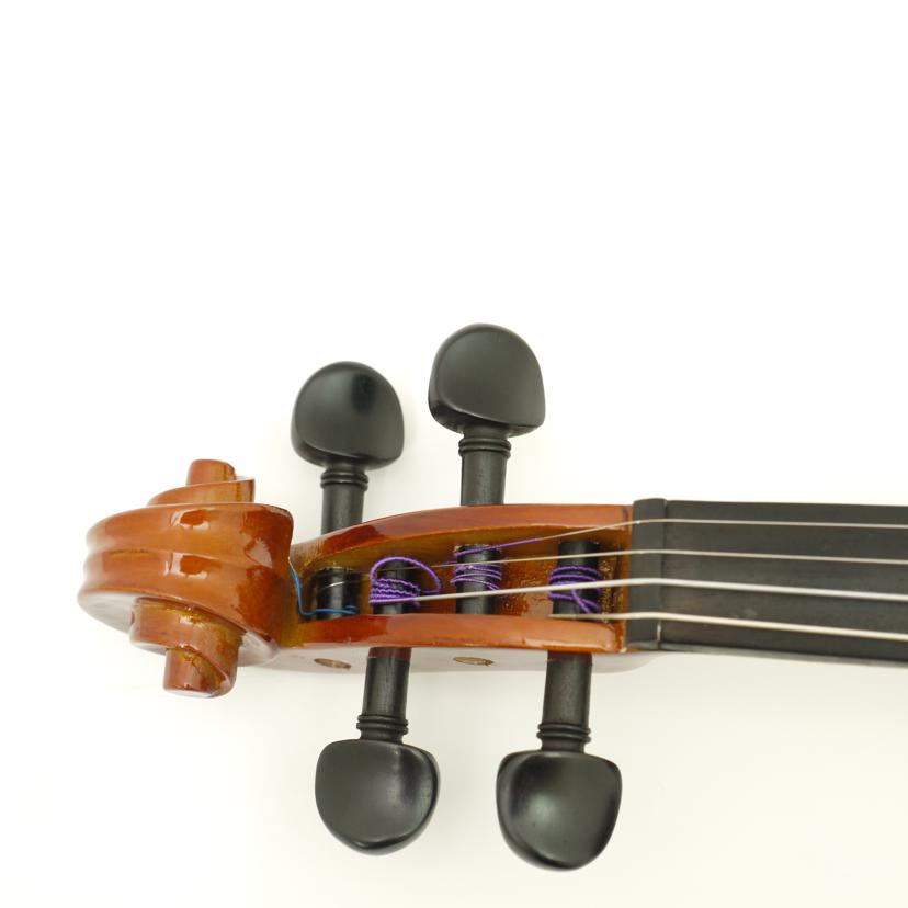 Hallstatt ハルシュタット/エレキバイオリン/EV-30/CV-210E//-/Aランク/69