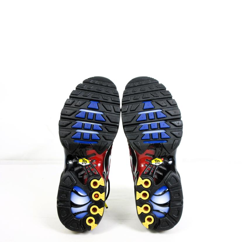 NIKE ナイキ/NIKE AIR MAX PLUS 25TH ANNIVERSARY/FV0393-001//ABランク/70