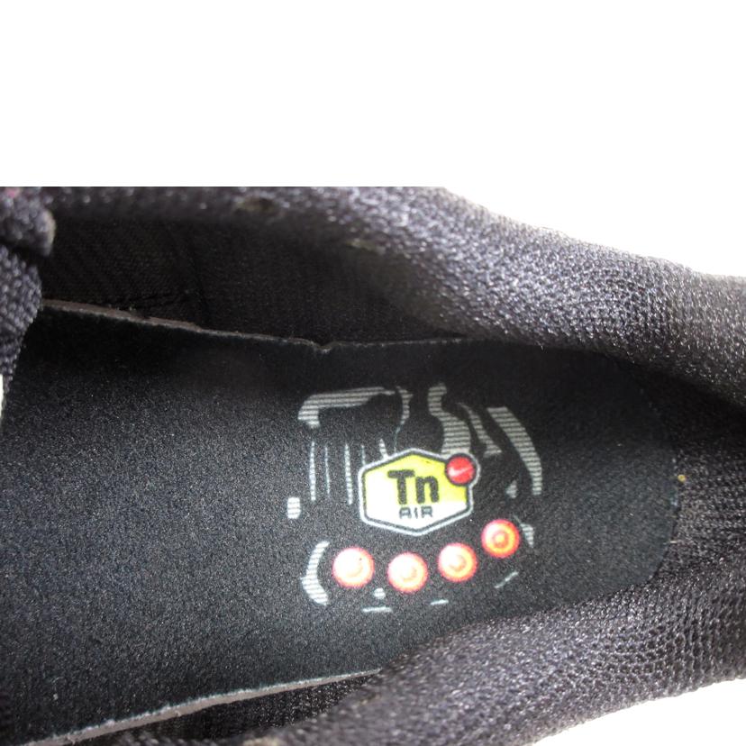 NIKE ナイキ/NIKE AIR MAX PLUS 25TH ANNIVERSARY/FV0393-001//ABランク/70