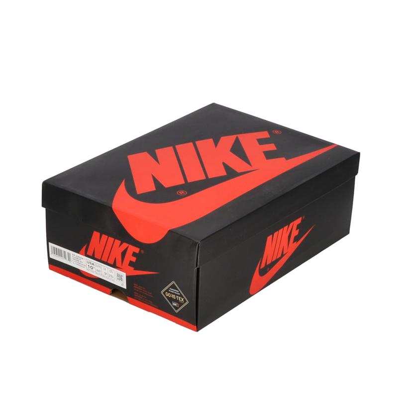 NIKE ナイキ/AIR JORDAN 1ELEMENT/GORE-TEX/DB2889-501//SAランク/05