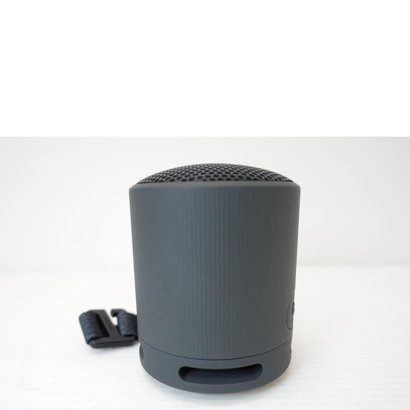 SONY ソニー/Bluetooth対応ポータブルスピーカー/SRS-XB100//1043075/ABランク/88
