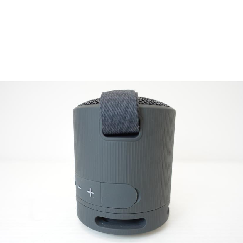 SONY ソニー/Bluetooth対応ポータブルスピーカー/SRS-XB100//1043075/ABランク/88