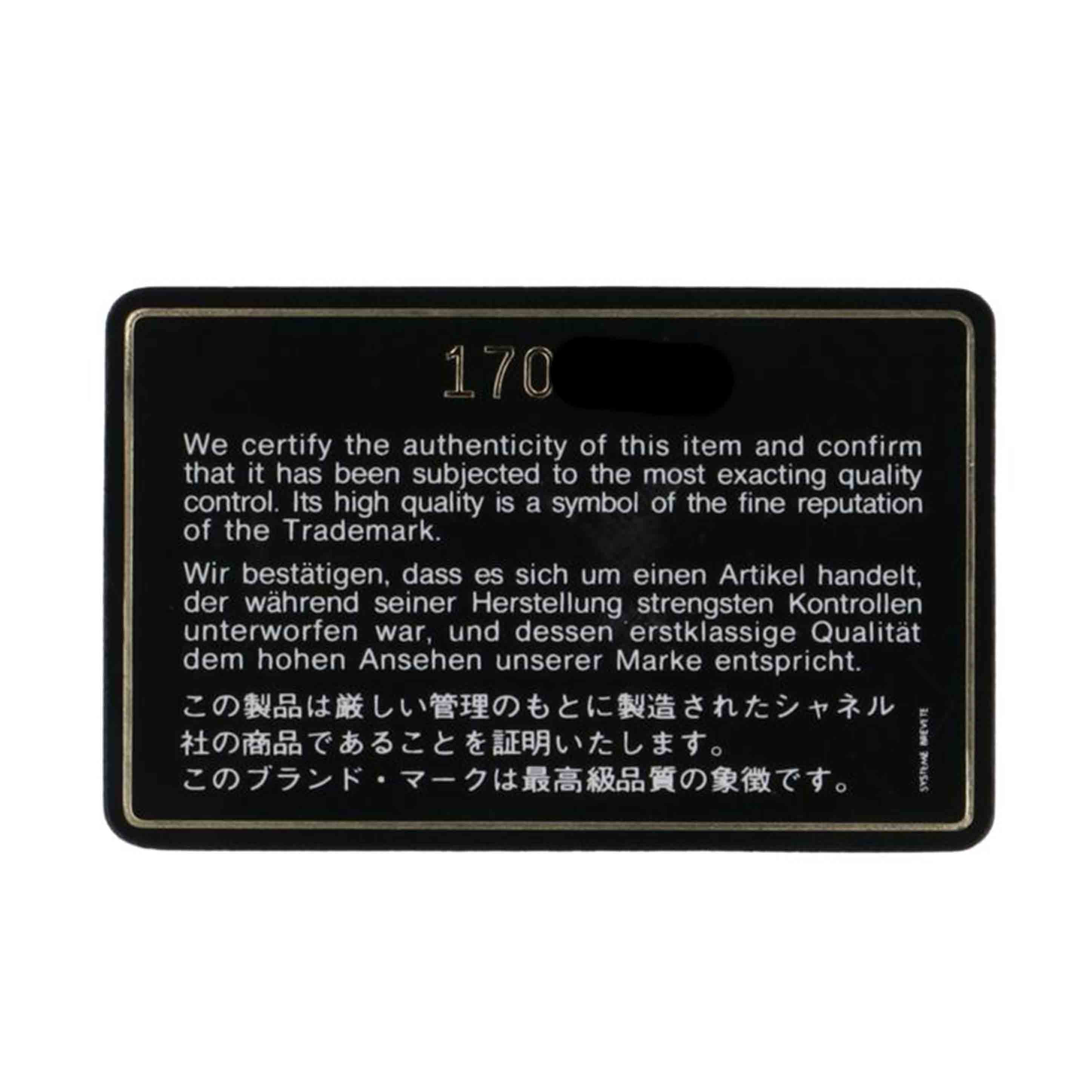 CHANEL シャネル/チェーンショルダー /G金具//170****/Bランク/09