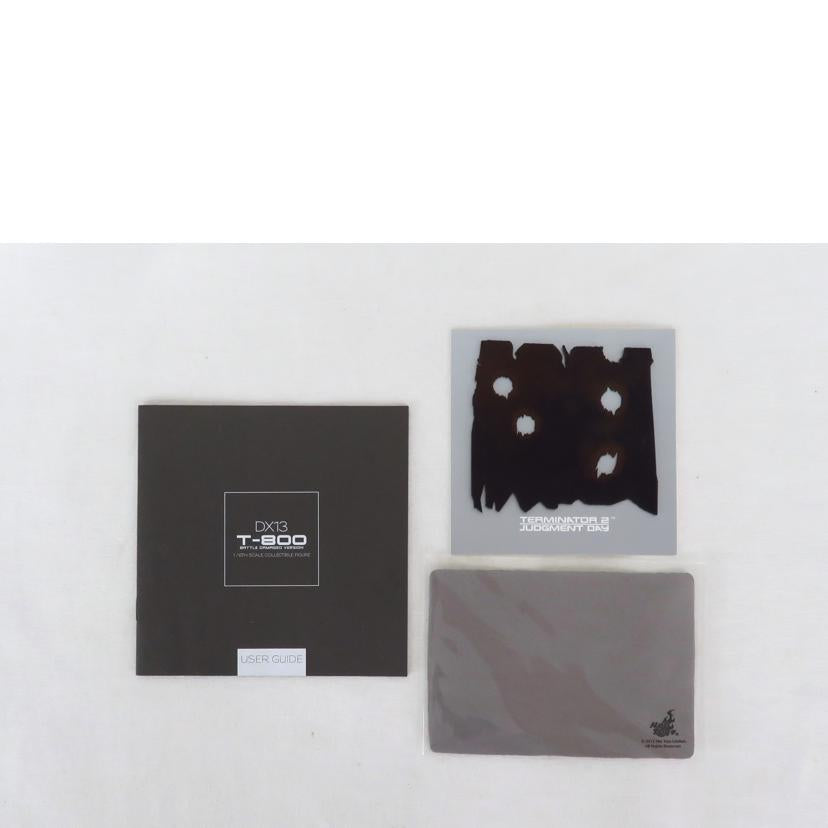 Hot Toys ホットトイズ/ムービーマスターピースDX ターミネーター2 T-800 バトルダメージ版/T-800//Aランク/81