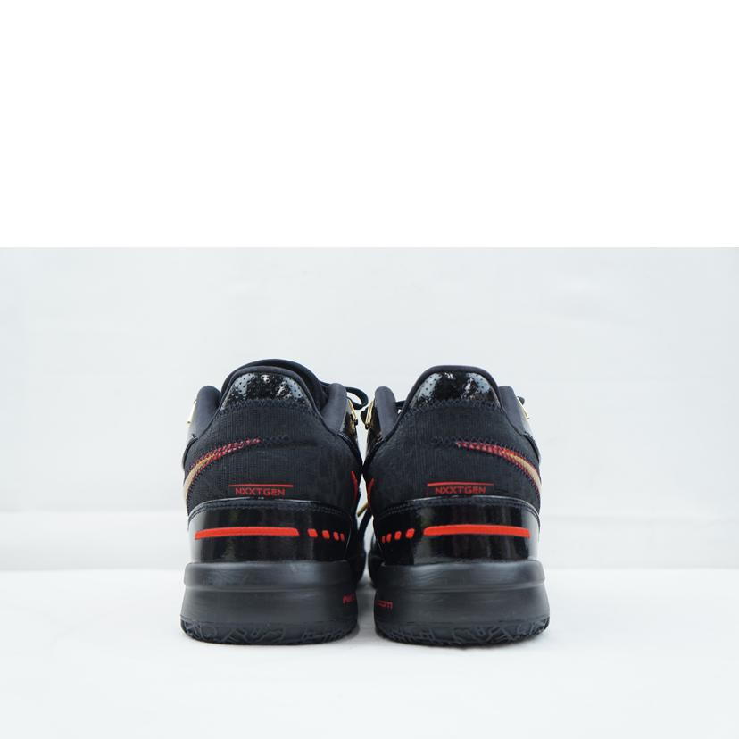 NIKE ナイキ/NIKE LEBRON NXXT GEN 27.0/FJ1567-001//Aランク/67