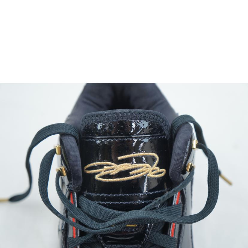 NIKE ナイキ/NIKE LEBRON NXXT GEN 27.0/FJ1567-001//Aランク/67