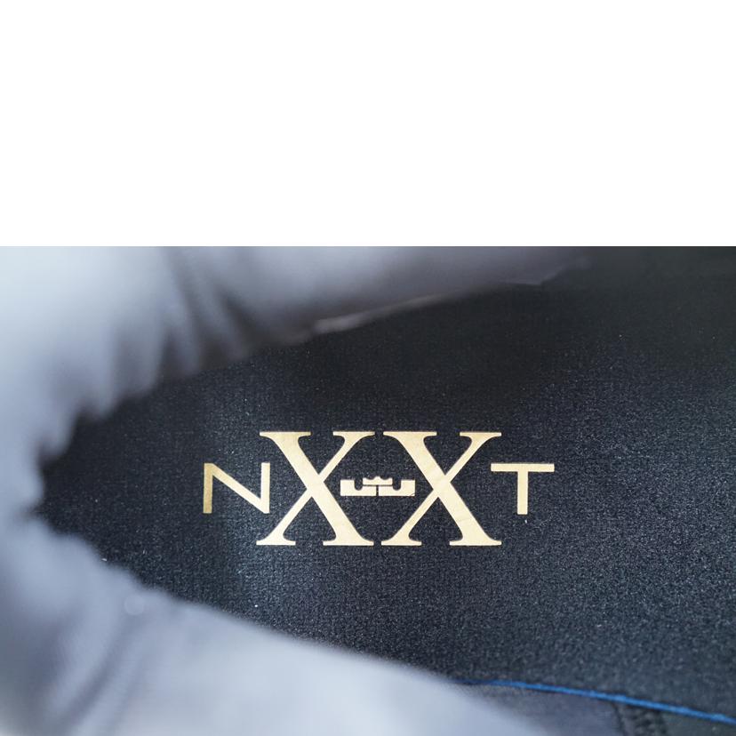 NIKE ナイキ/NIKE LEBRON NXXT GEN 27.0/FJ1567-001//Aランク/67