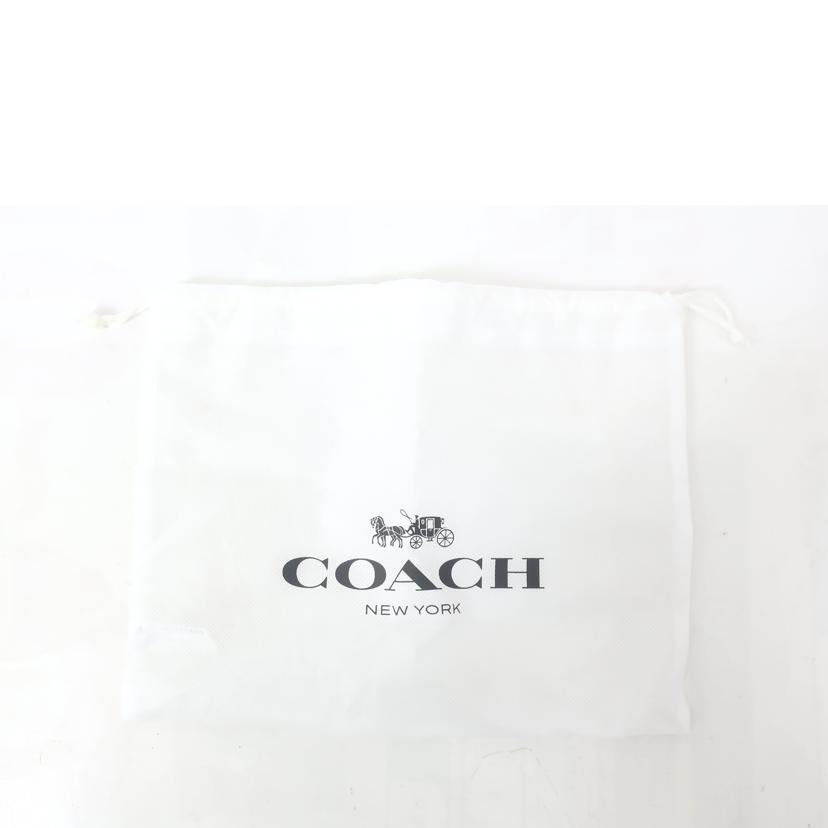 COACH コーチ/ミニ ジェイミー カメラバッグ・シグネチャー キャンバス・ストライプ ショルダーバック/CAQ-42//Aランク/65