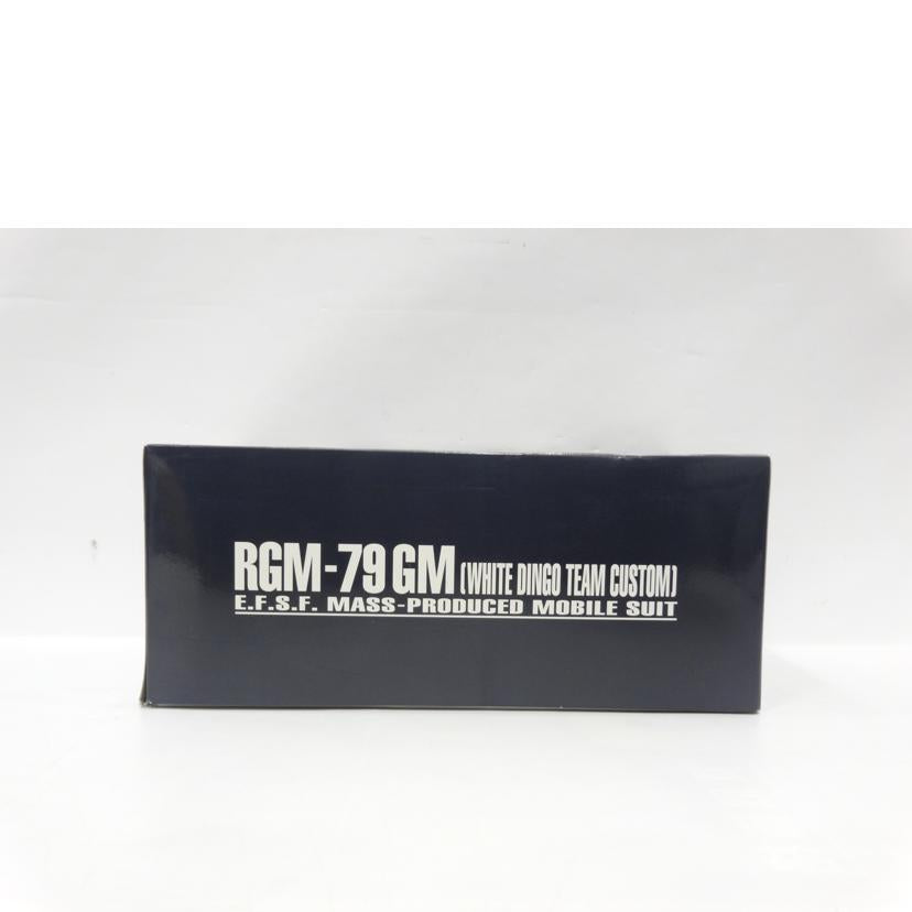 BANDAI バンダイ/MG/ジム/ホワイト・ディンゴ隊仕様//Bランク/42
