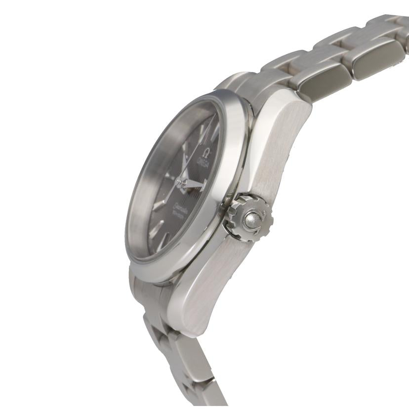 OMEGA オメガ/Seamaster アクアテラ/クオーツ/231.10.30.61.06.001//913*****/Aランク/91