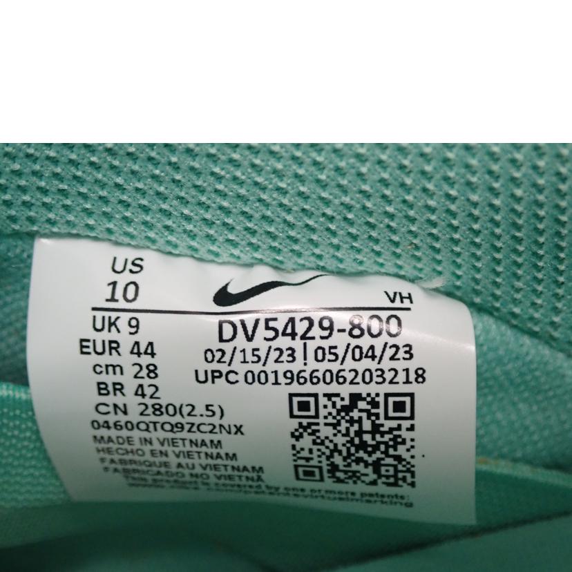 NIKE ナイキ/DUNK LOW PRO PRM/DV5429-800//28.0cm/Sランク/62