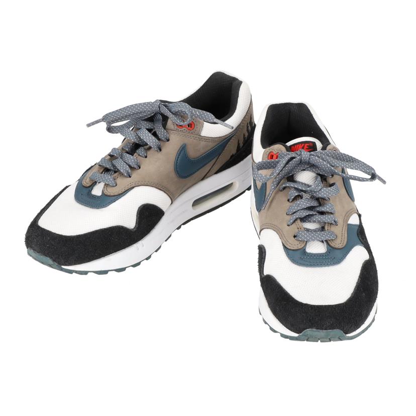 NIKE ナイキ/AIR MAX 1PRM/FJ0698-100//ABランク/19