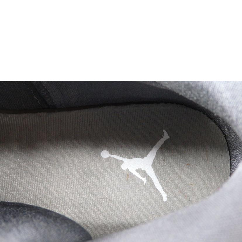 NIKE ナイキ/Air Jordan MAX Aura2/CK6636-012//ABランク/76