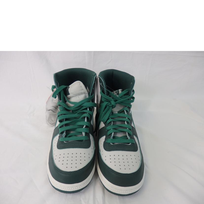 NIKE ナイキ/NIKE TERMINATOR HIGH/FD0650-100//Sランク/84