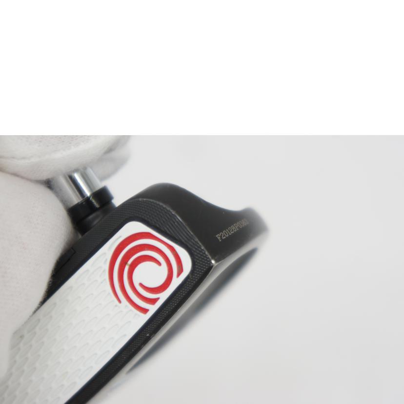 ODYSSEY オデッセイ/EYE TRAX 2-BALL パター 2020年//ABランク/05