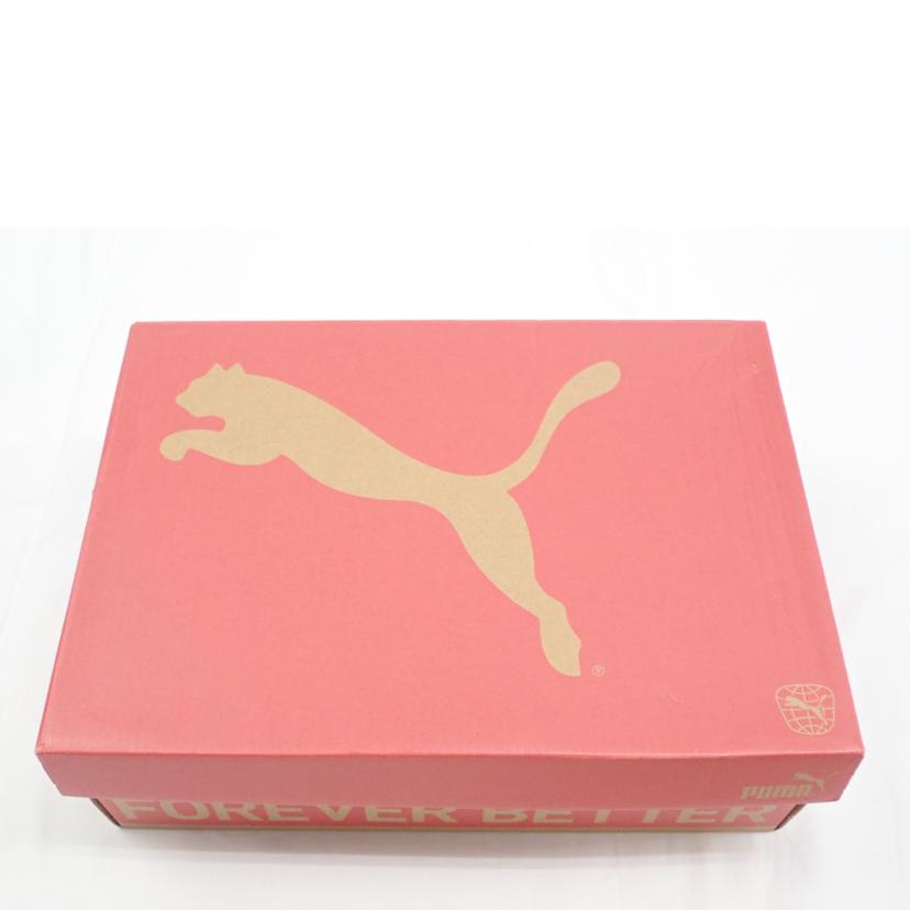 PUMA プーマ/PUMA タレンズSB 3 ピュアテックス/343930-02//28.0cm/Aランク/62