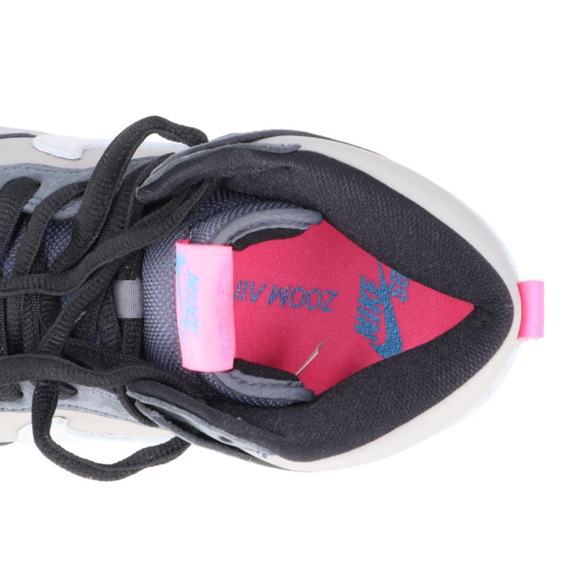 NIKE ナイキ/NIKE SB DUNK HIGH PRO/DJ9800-001//ABランク/70