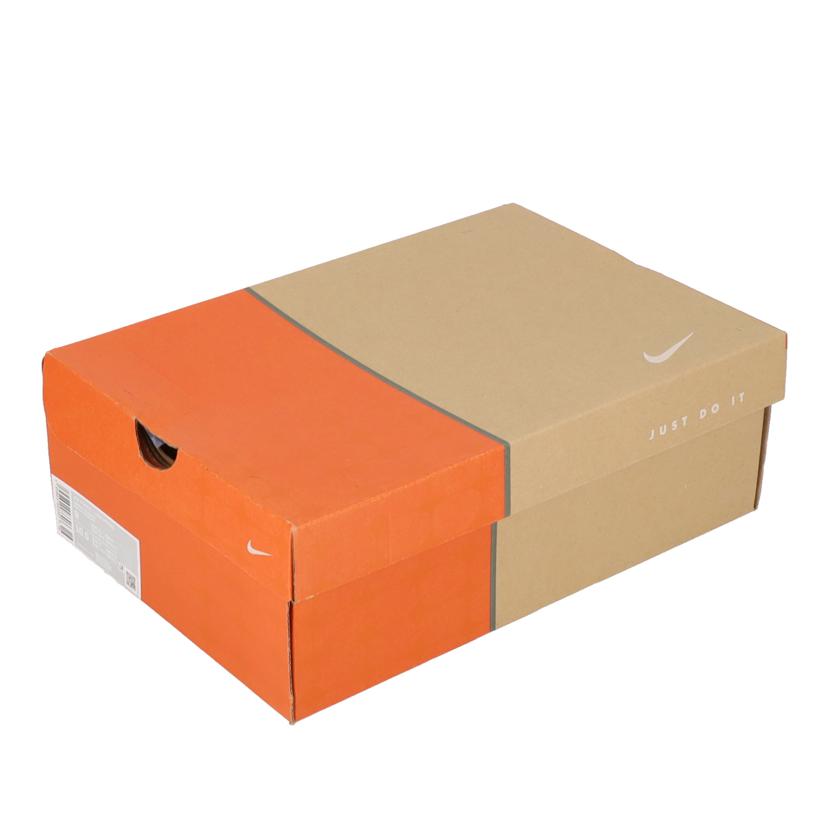 NIKE ナイキ/NIKE AIR FORCE 1 LOW RETRO/DM0576-400//ABランク/70