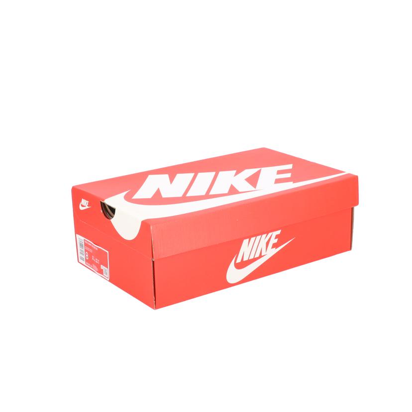 NIKE ナイキ/NIKE DUNK LOW RETRO/DD1391-104//ABランク/70