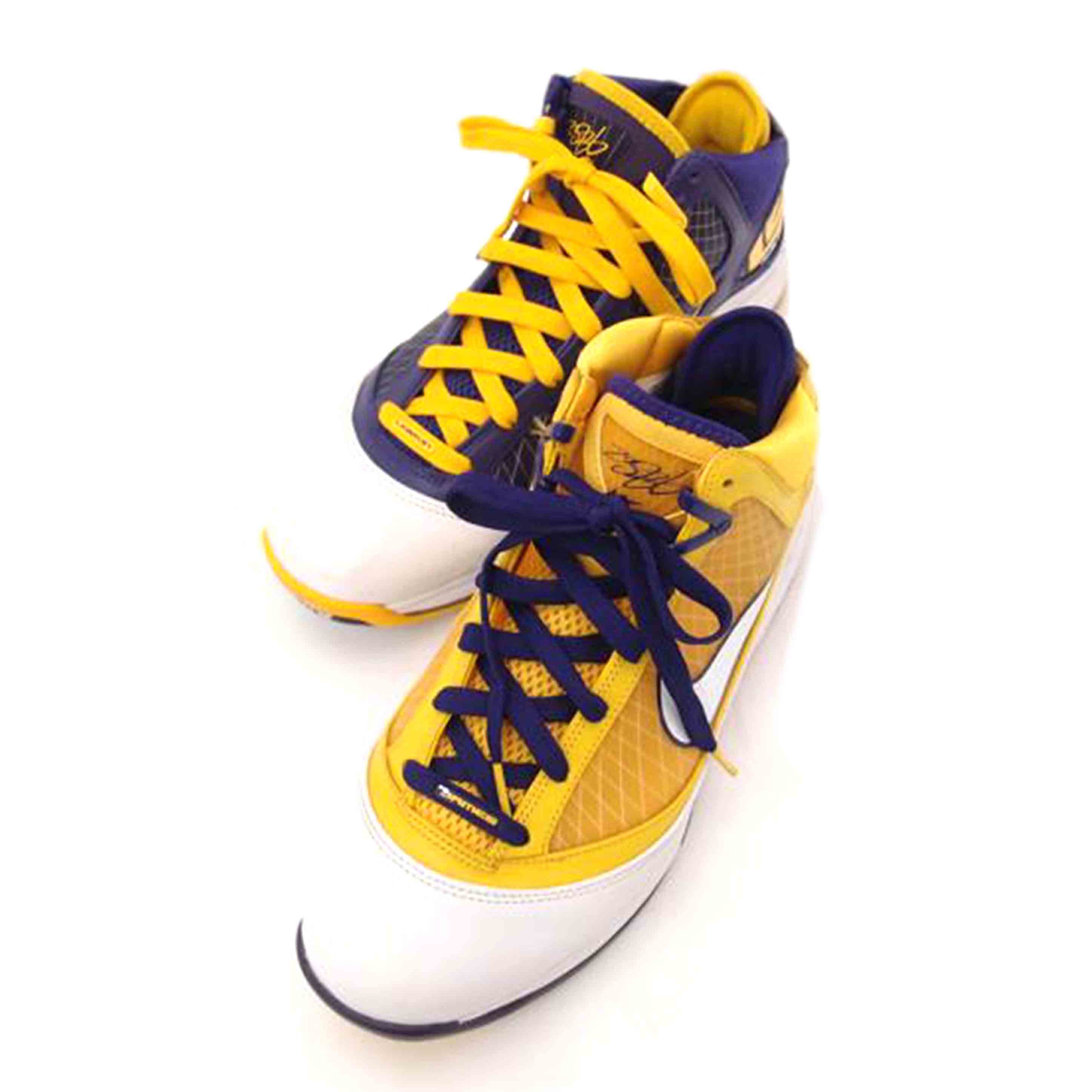 NIKE ナイキ/レブロン7Media Day/CW2300-500//Aランク/69