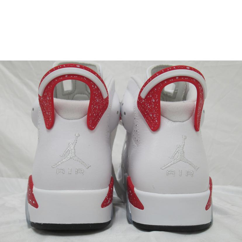 NIKE/AIR JORDAN 6 RETRO/CT8529-162//Sランク/63