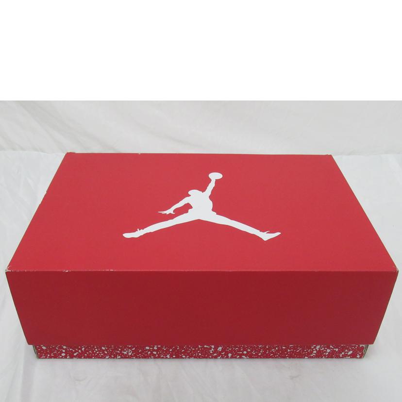 NIKE/AIR JORDAN 6 RETRO/CT8529-162//Sランク/63