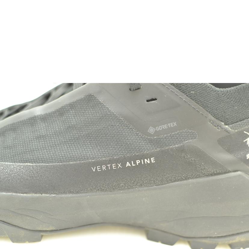ARC'TERYX アークテリクス/バーテックスアルパイン/ゴアテックススニーカー/225389//サイズ:28cm/Bランク/75